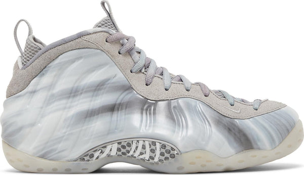 [DM0115-001] Mens Nike Air Foamposite One 'Dream A World Grey'