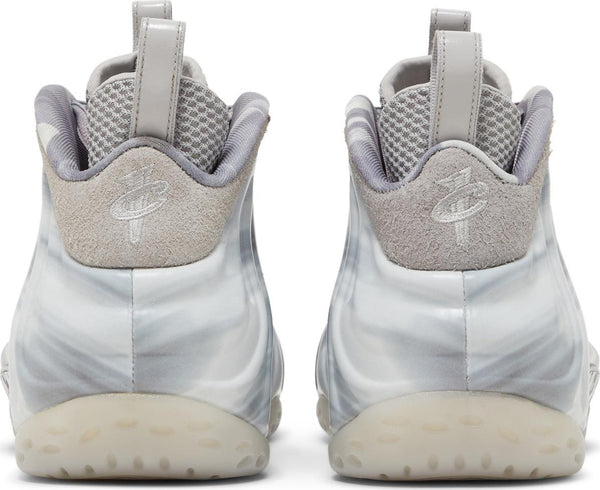 [DM0115-001] Mens Nike Air Foamposite One 'Dream A World Grey'