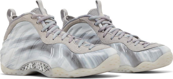 [DM0115-001] Mens Nike Air Foamposite One 'Dream A World Grey'