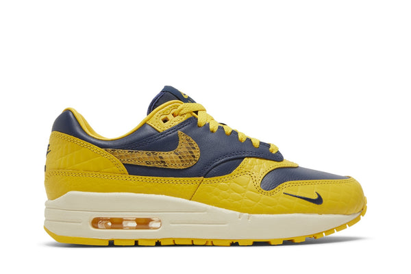 [FJ5479-410] Womens Nike AIR MAX 1 'CO.JP MICHIGAN HEAD TO HEAD'