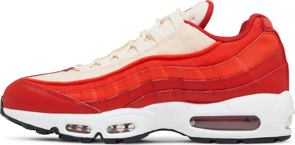 [FN6866-642] Mens Nike AIR MAX 95