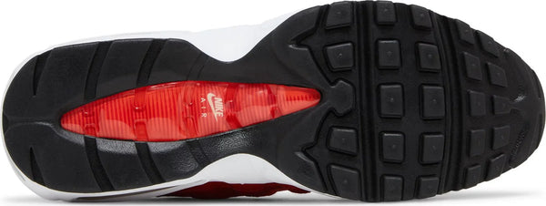 [FN6866-642] Mens Nike AIR MAX 95