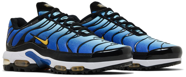 [FZ4150-400] MENS NIKE AIR MAX PLUS G