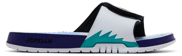 [555501-103] MENS AIR JORDAN HYDRO V RETRO 'GRAPE'