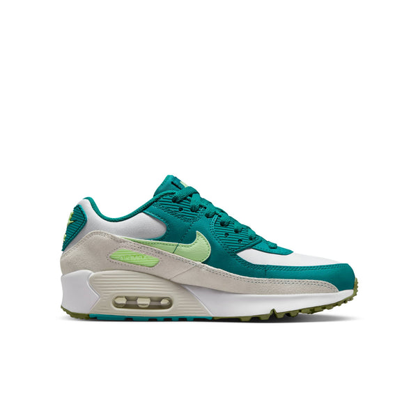 [CD6864-124] Grade School Nike AIR MAX 90 LTR GS