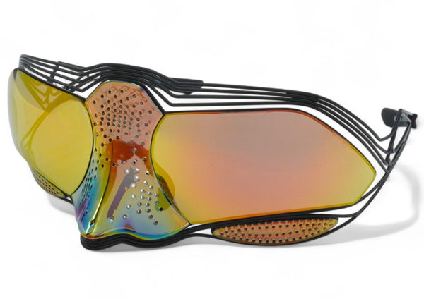 [EV24022-008] Unisex Nike Zeus Sunglasses