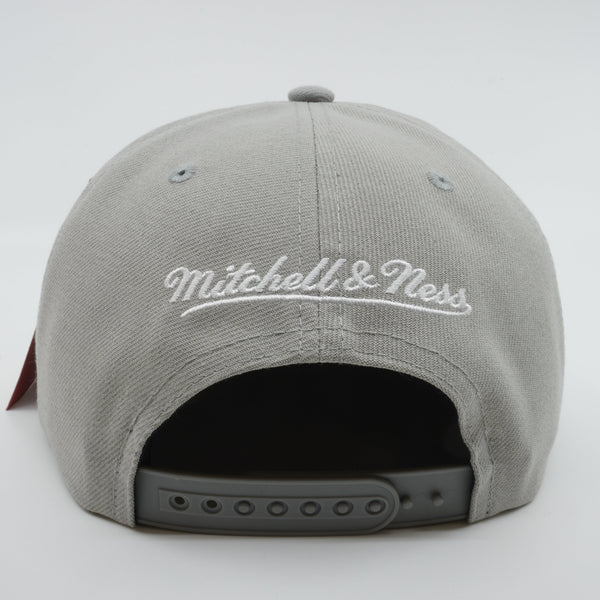 MENS MITCHELL & NESS NBA MUNCH TIME SNAPBACK HWC NUGGETS - GREY