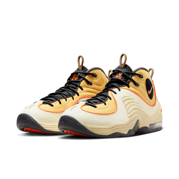 [DV7229-700] Mens Nike AIR PENNY 2