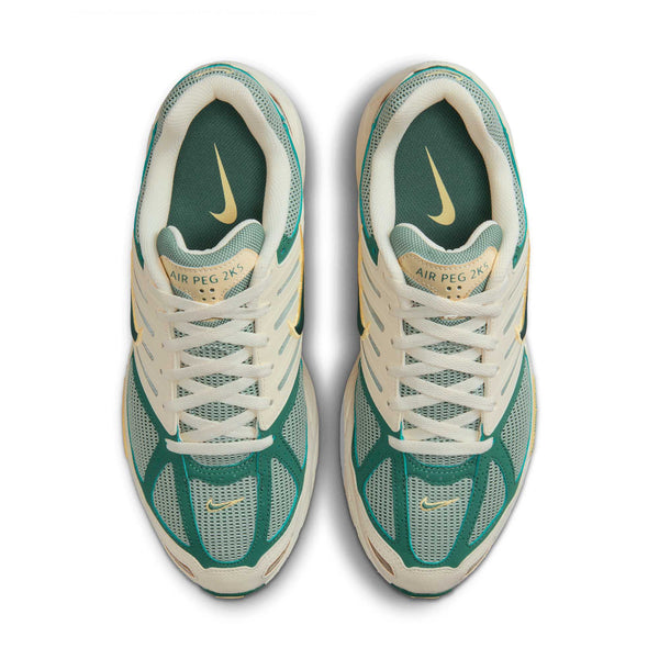 [FZ2590-100] Mens Nike AIR PEGASUS 2005