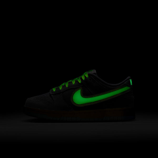 [HQ3569-068] GRADE SCHOOL NIKE GS DUNK LOW