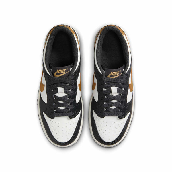 [HV2533-100] GRADE SCHOOL NIKE GS DUNK LOW