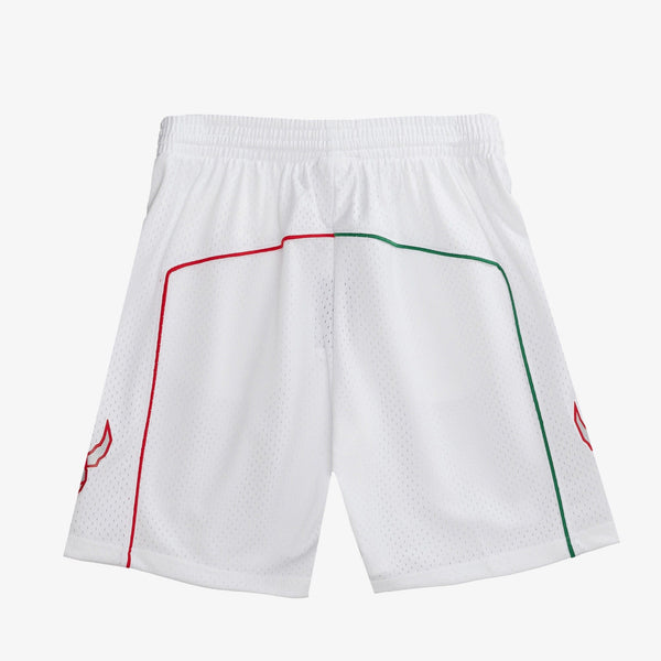 MENS MITCHELL & NESS NBA SWINGMAN SHORTS RAPTORS 07