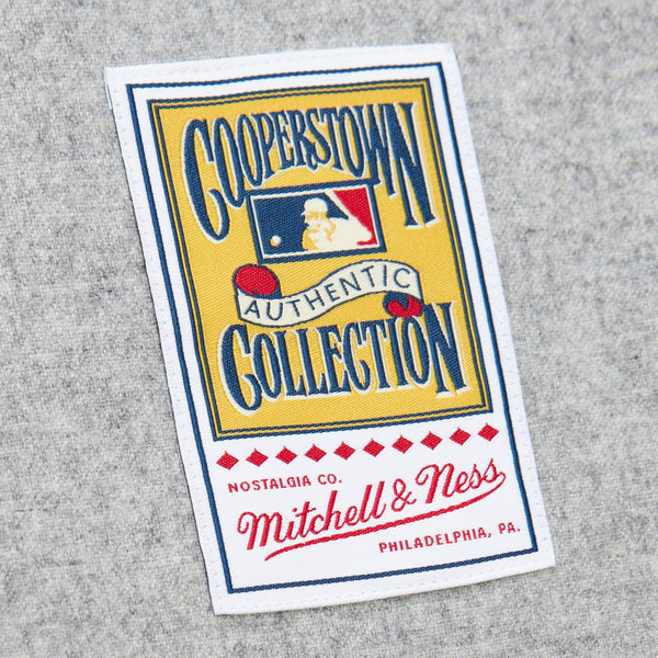 MENS MITCHELL & NESS MLB GREY JERSEY YANKEES 1929 BABE RUTH