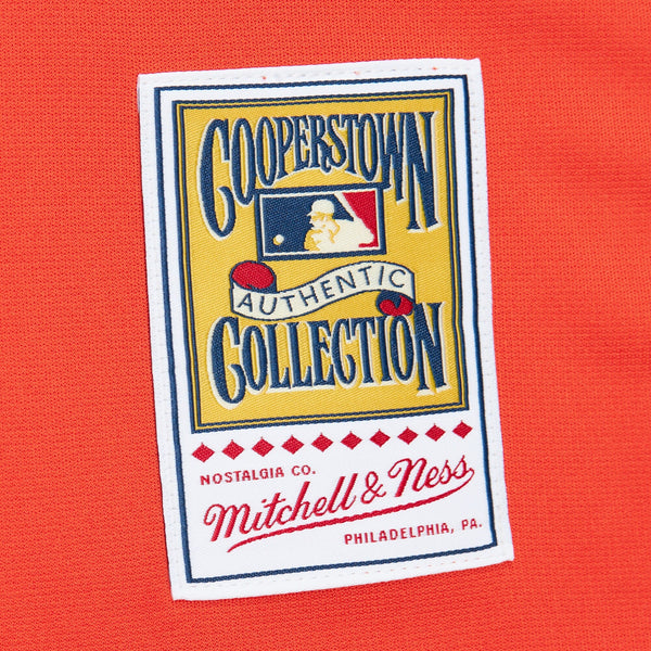 Mens Mitchell & Ness MLB ALTERNATE JERSEY ASTROS 2004 CRAIG BIGGIO