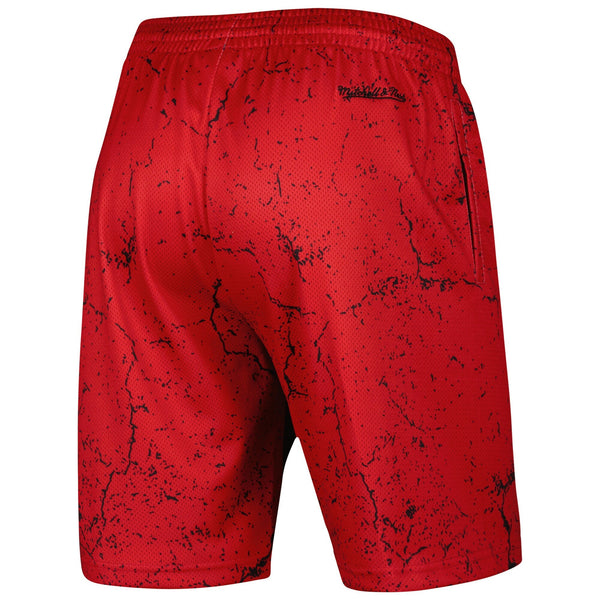 MENS MITCHELL & NESS NBA PLAYER BURST MESH SHORTS HEAT DWYANE WADE