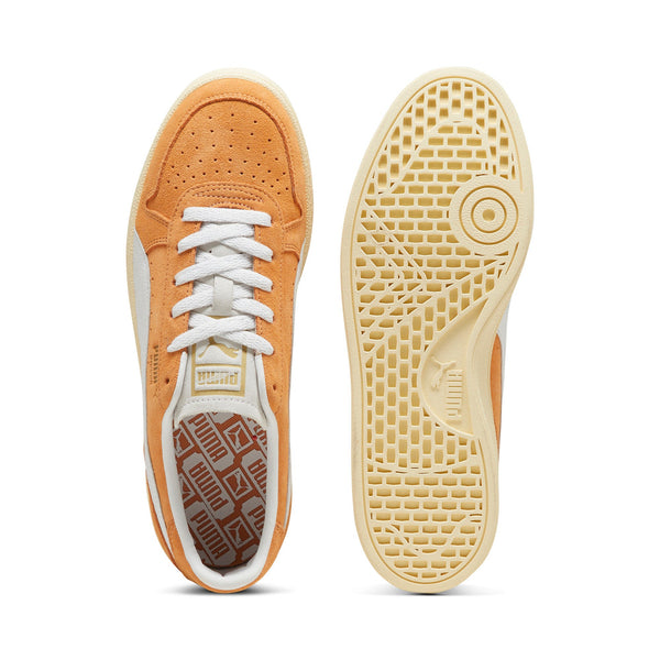 [401136-02] Mens Puma INDOOR SOFT