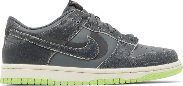 [DQ6215-001] Youth Nike DUNK LOW SE 'ACID WASH BALTIC BLUE VOLT' (GS)