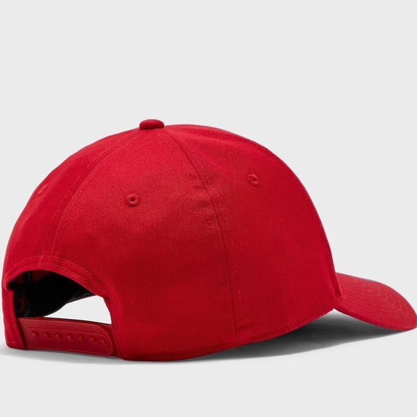 [CK1248-687] Mens Air Jordan Jumpman Legacy91 Air Snapback