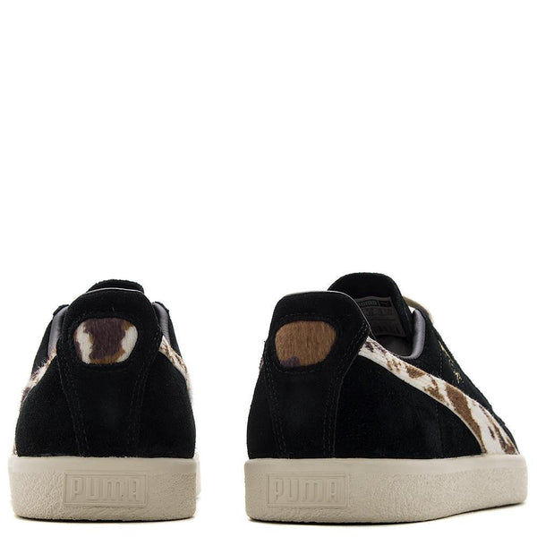 [363507-01] Clyde X Packer