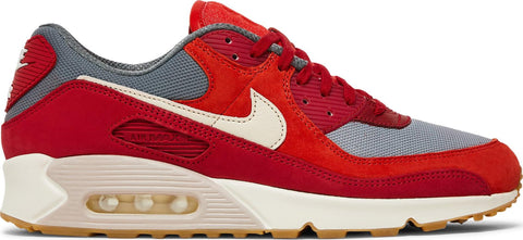 [DH4621-600] Mens Nike AIR MAX 90 PRM