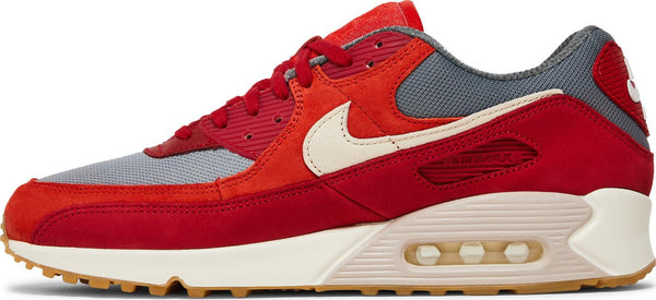 [DH4621-600] Mens Nike AIR MAX 90 PRM