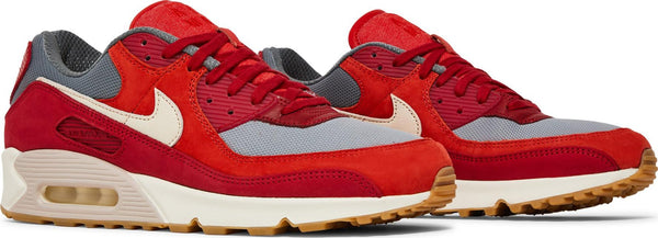 [DH4621-600] Mens Nike AIR MAX 90 PRM