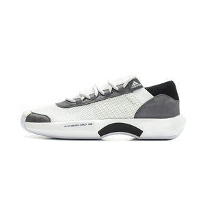 [AC8213] Mens Adidas Crazy 1 A//D