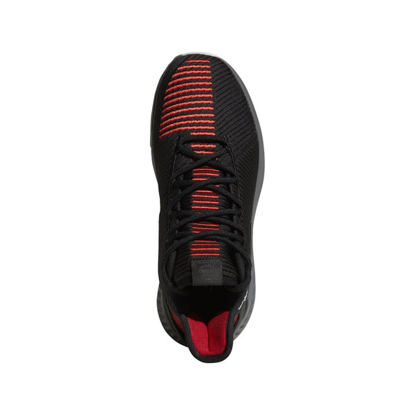 [AQ0039] D Rose 9