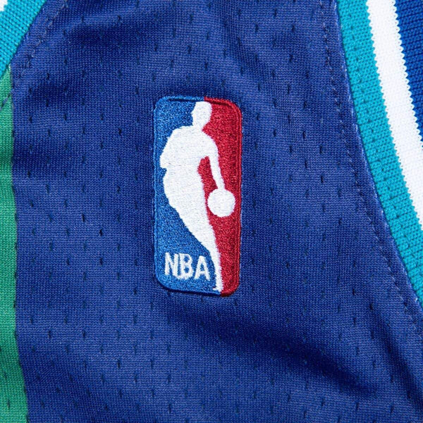 [BA688C-CHO-L-JHI] Mens Mitchell & Ness NBA Authentic Jersey Charlotte Hornets Alternate 1994-95 Larry Johnson