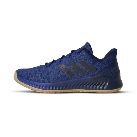 [CG5980] Mens Adidas Harden B/E X