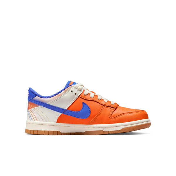 [FN0600-801] Grade School Nike Dunk Low SE 'Everything You Need' (GS)