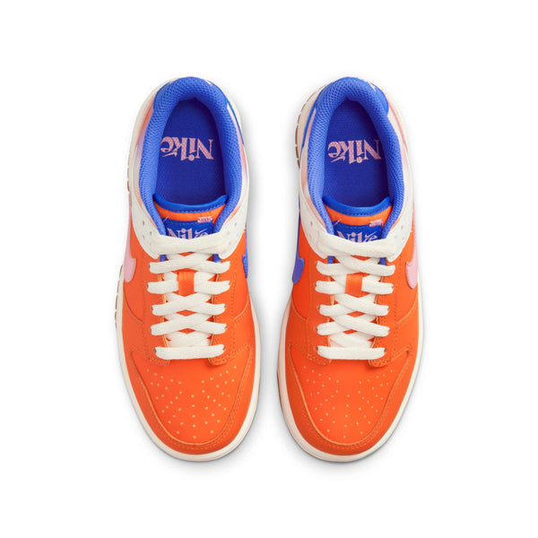 [FN0600-801] Grade School Nike Dunk Low SE 'Everything You Need' (GS)