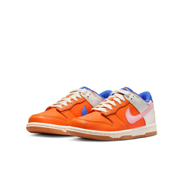[FN0600-801] Grade School Nike Dunk Low SE 'Everything You Need' (GS)