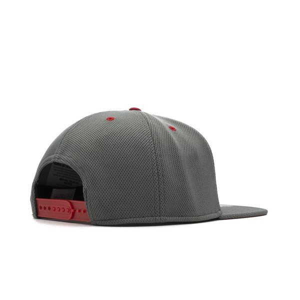 Mens 47 Brand Boston Red Sox Fan Favorite Snapback - Grey/Red