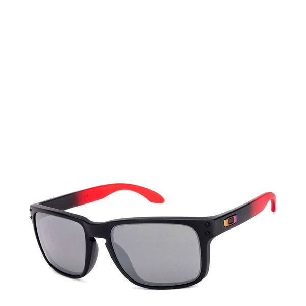 [OO9102-D355] Holbrook