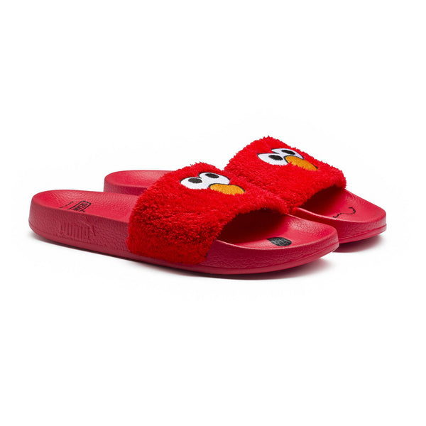 [362456-02] Leadcat Sesame Street